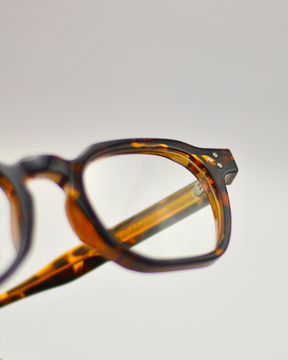 Papagaio | Tortoise