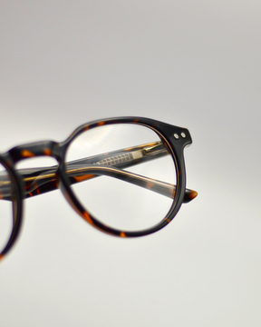 Saíra | Tortoise