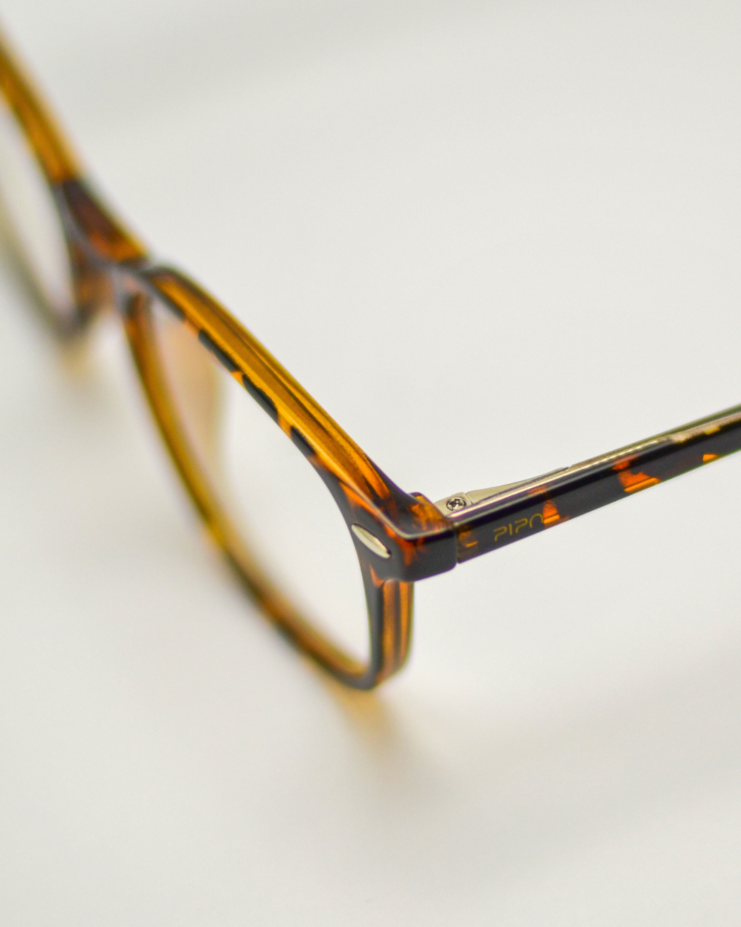 Arara | Tortoise