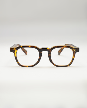 Papagaio | Tortoise