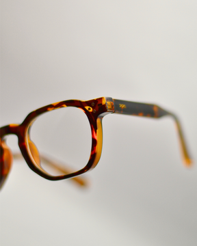 Papagaio | Tortoise
