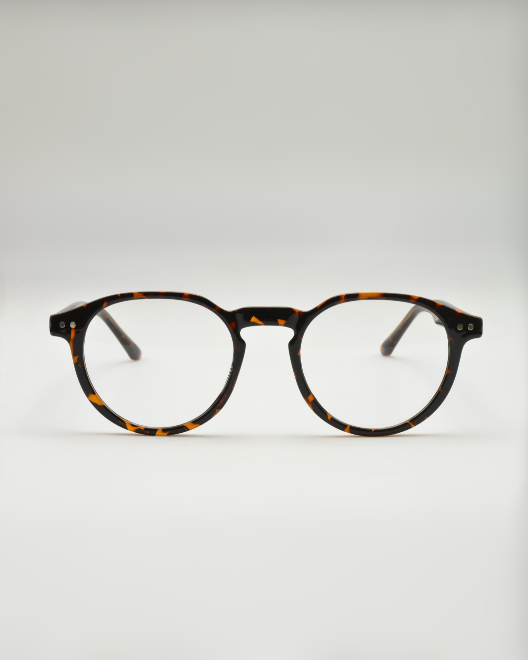 Saíra | Tortoise