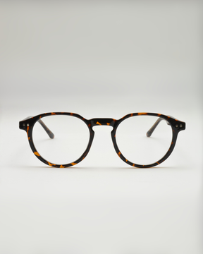 Saíra | Tortoise