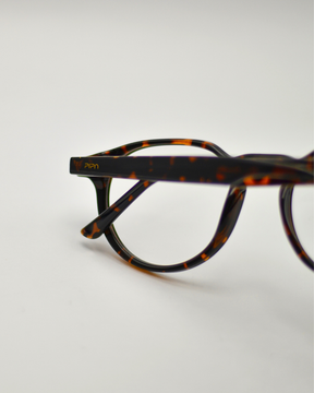 Saíra | Tortoise