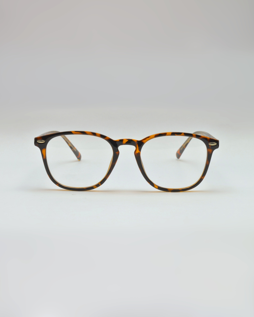 Arara | Tortoise