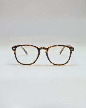 Arara | Tortoise